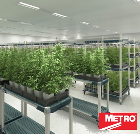 Metro Wire Shelving for Marijuana